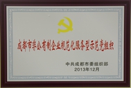 2013��ȳɶ��зǹ�������IҎ����������ʾ���h�M�� 